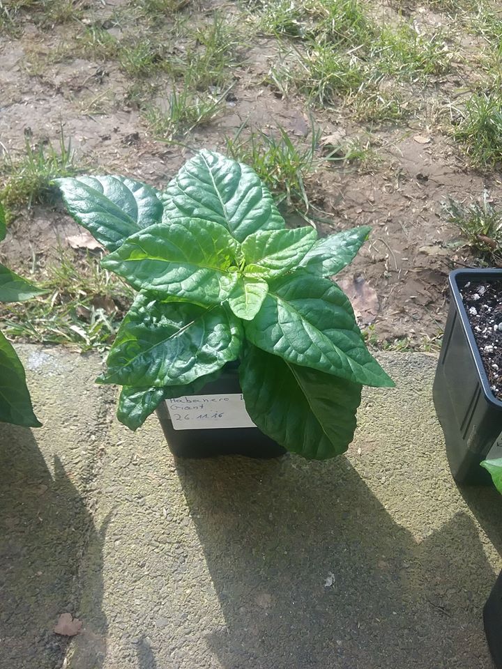 Das erste mal draußen