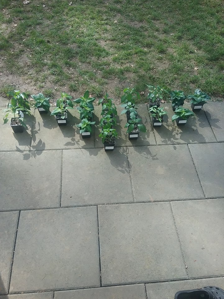 Das erste mal draußen