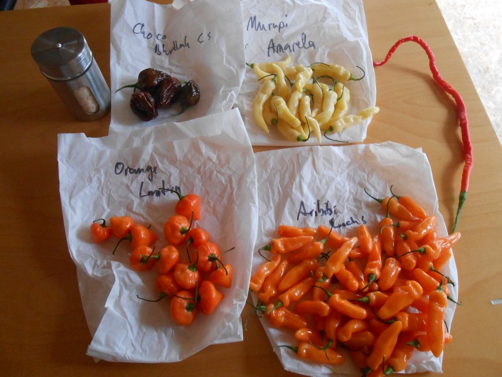 DSCN3111.JPG