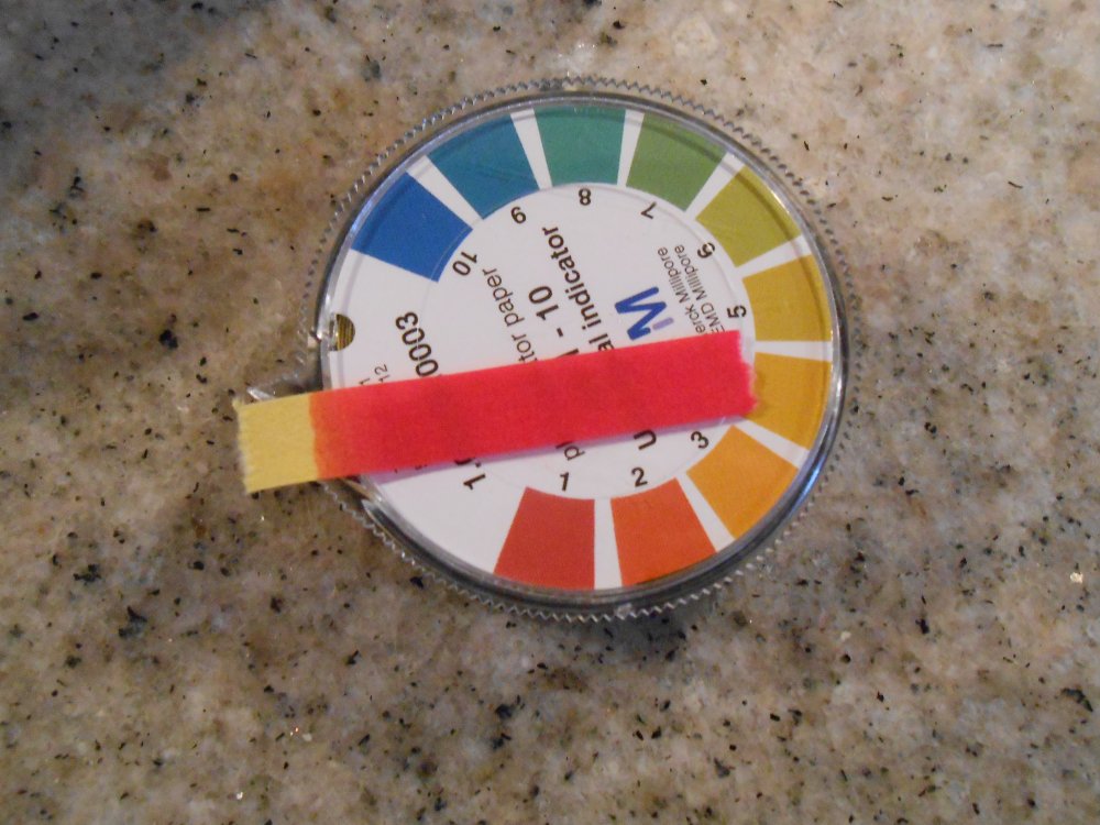 DSCN3144.JPG