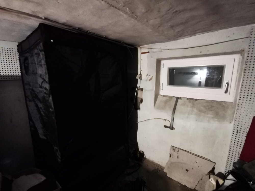 Endlich ein richtiges Fenster