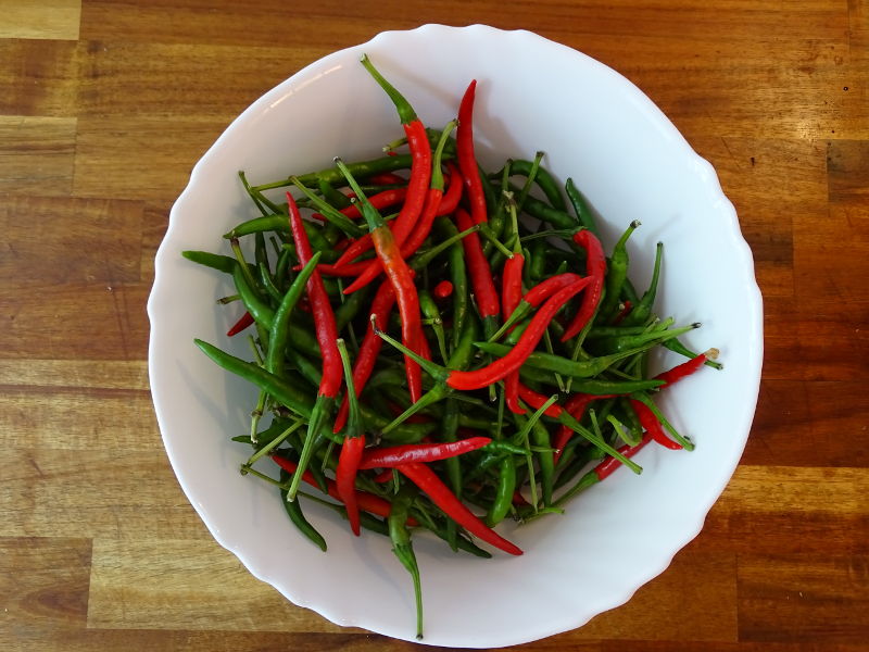 Ernte_Hontaka_20170909