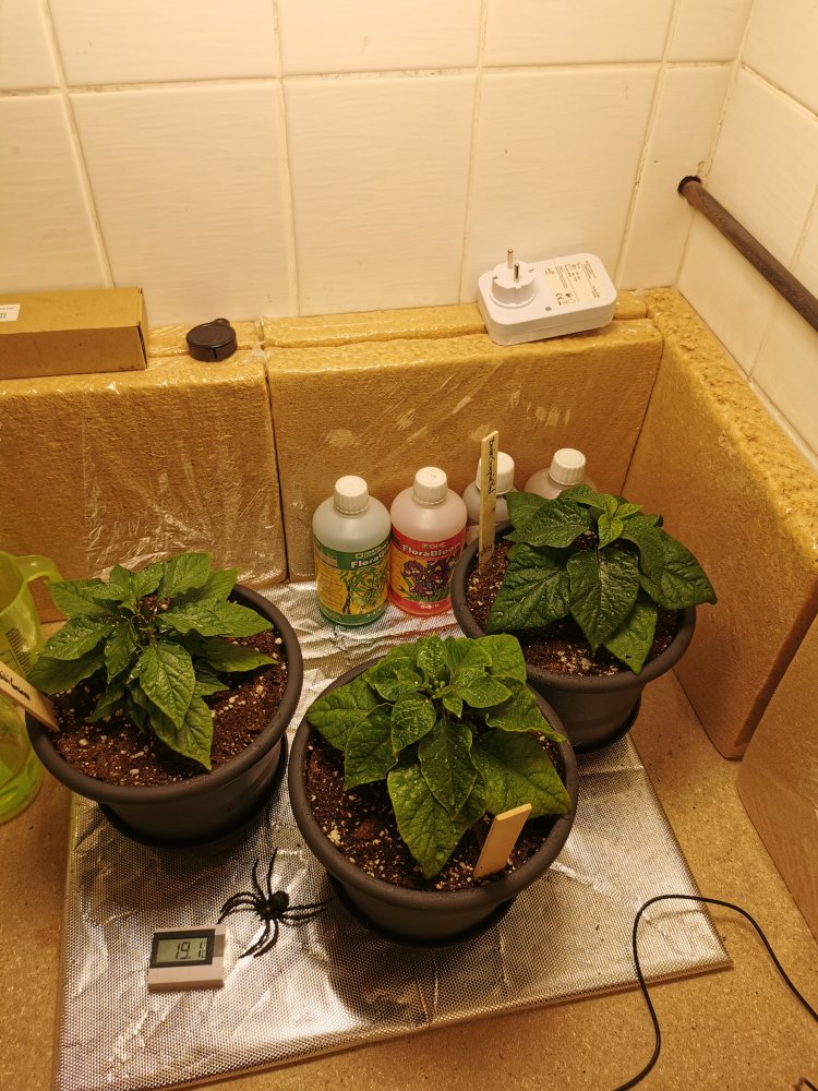 Familienfoto 27.01.21