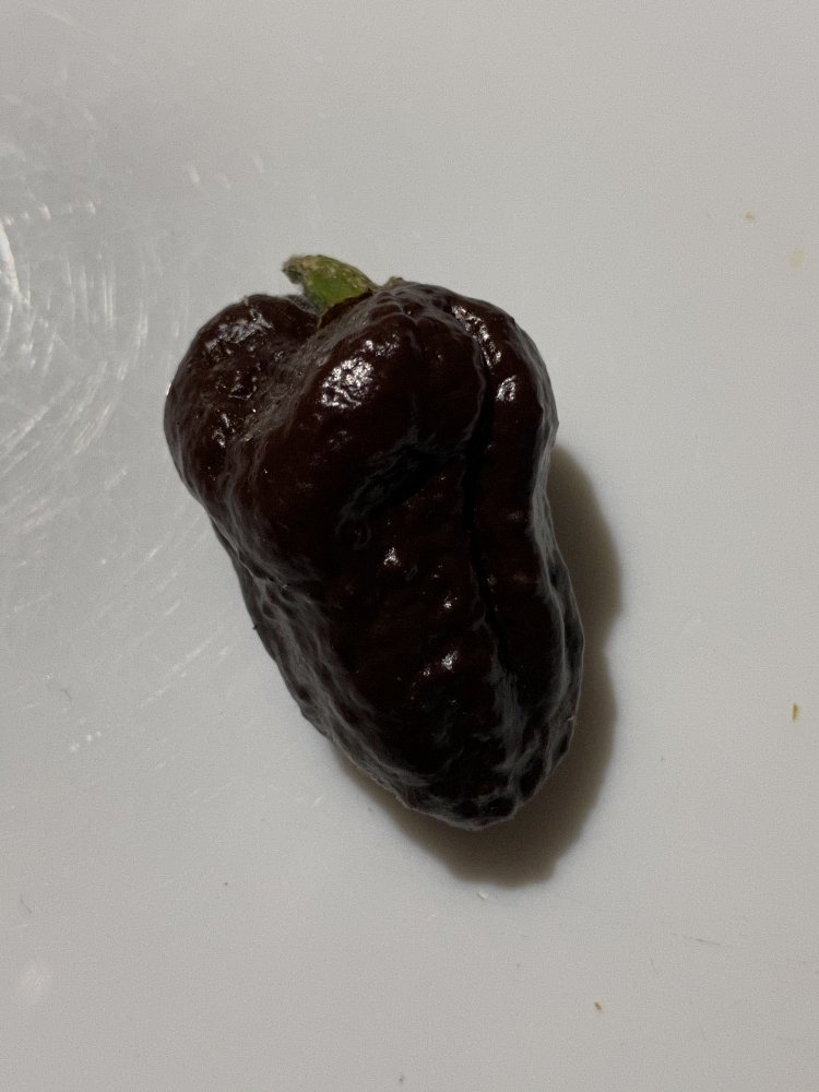 Fatalii Black