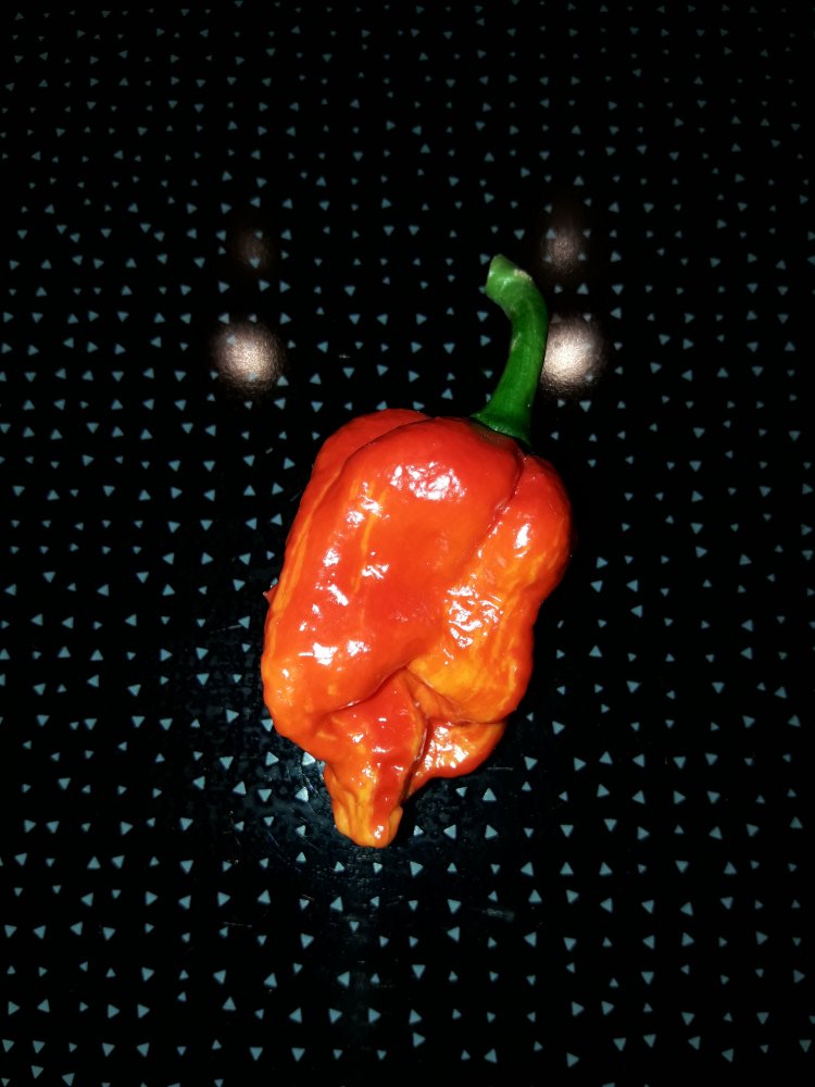 Fatalii Gourmet Jigsaw (1)