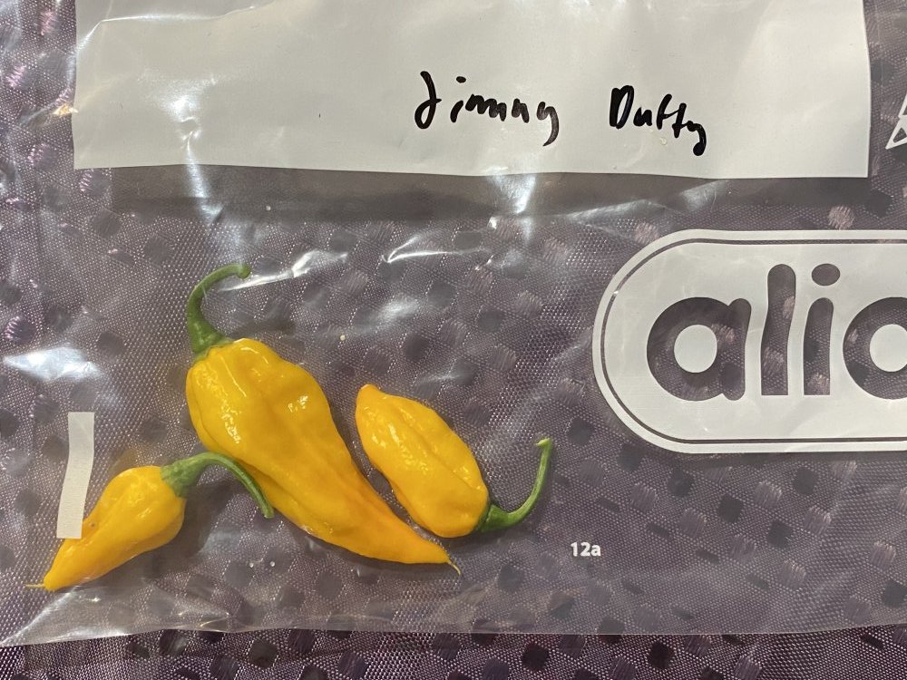 Fatalii Jimmy Duffy