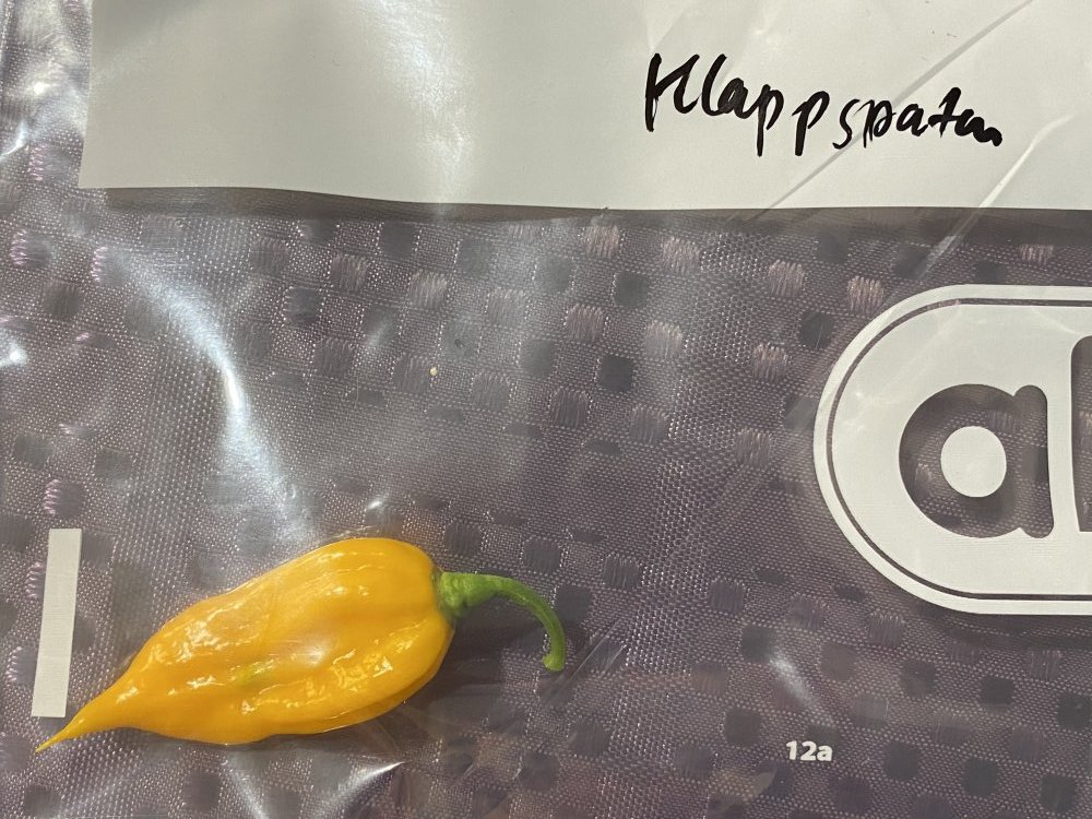 Fatalii Klappspaten