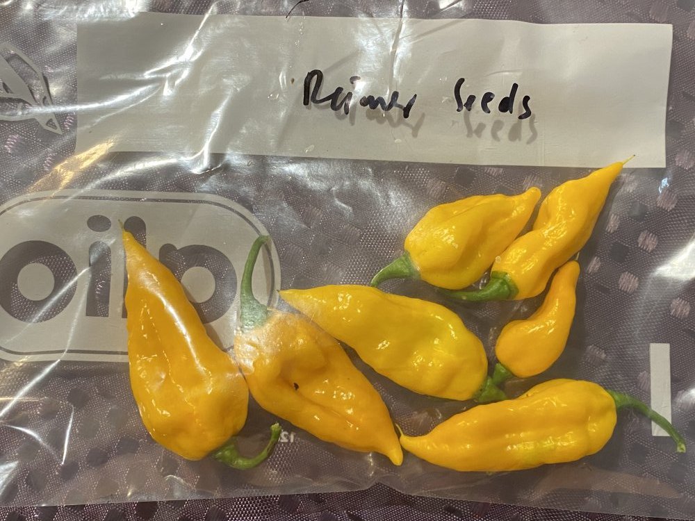 Fatalii Reimer Seeds