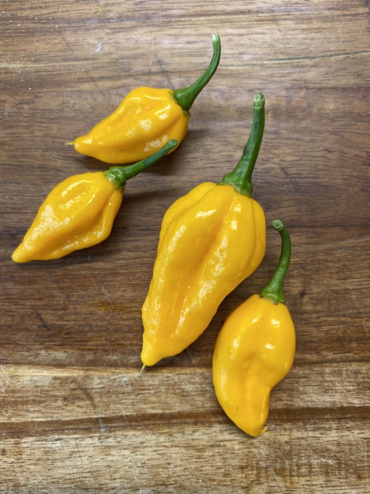 Fatalii