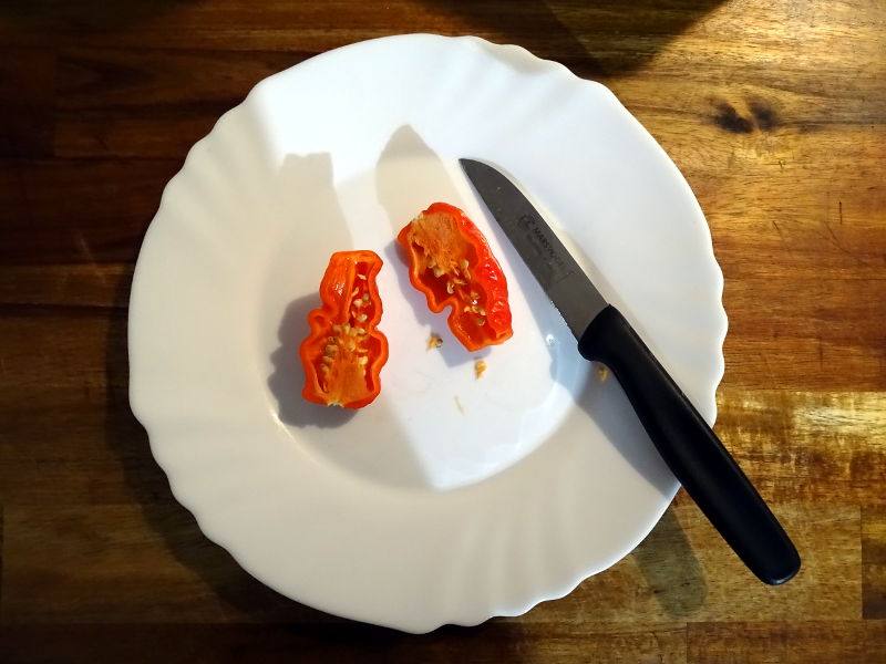 Frucht_Trinidad_Hornet_20170327