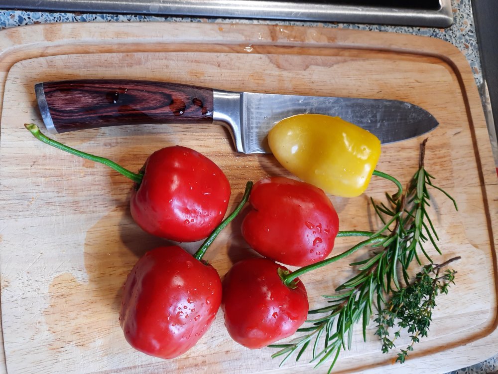 Giant und Yellow Rocoto