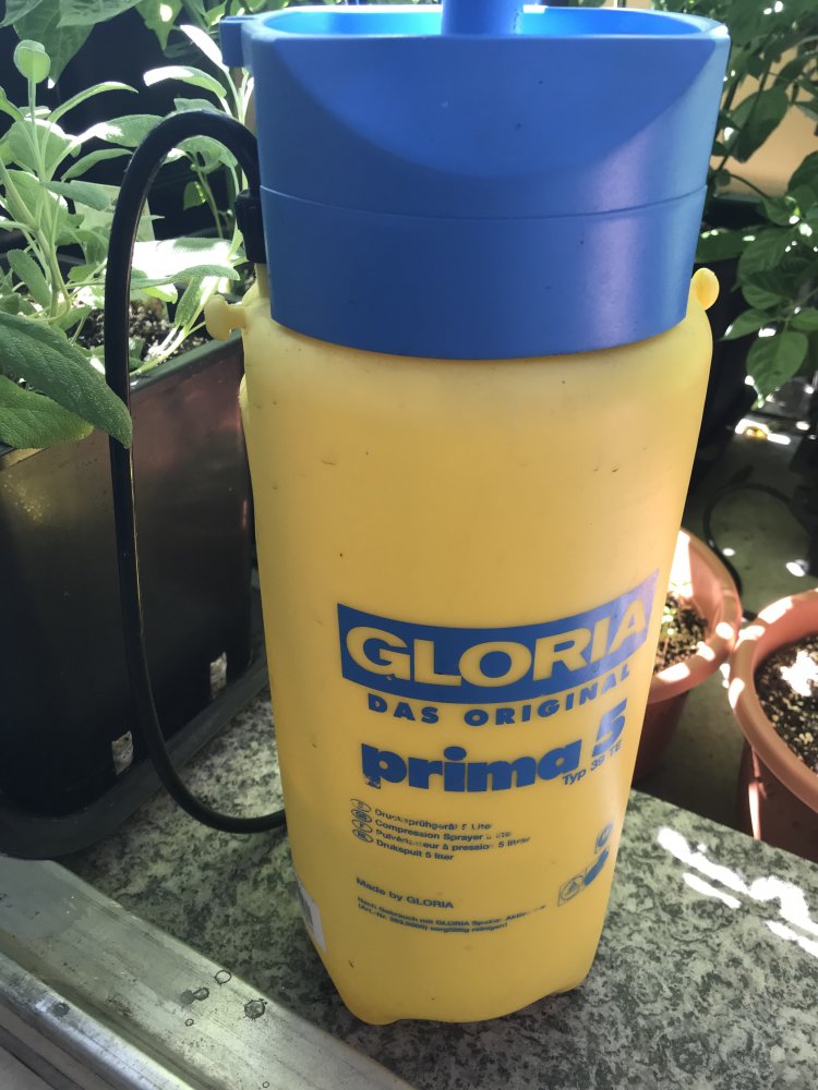 Gloria Drucksprüher