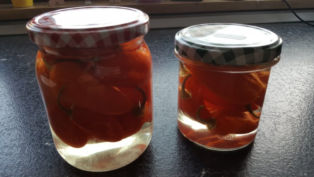 Habanero X Lunchbox