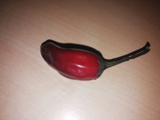 IMG_20180901_150409_20180901150913556