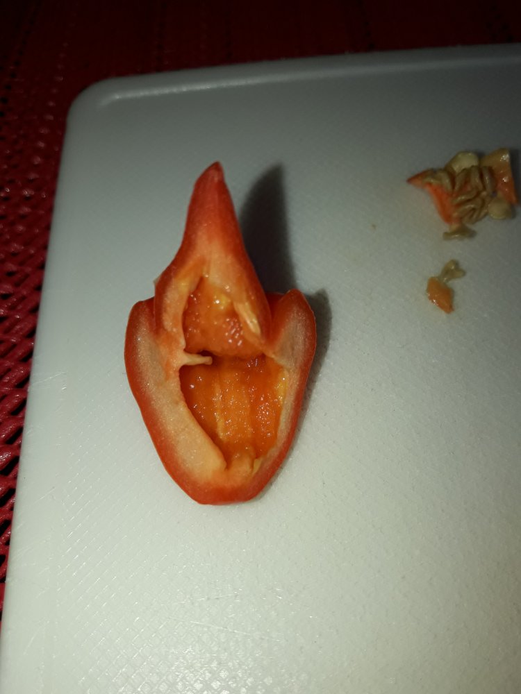 Innenleben ohne Samen