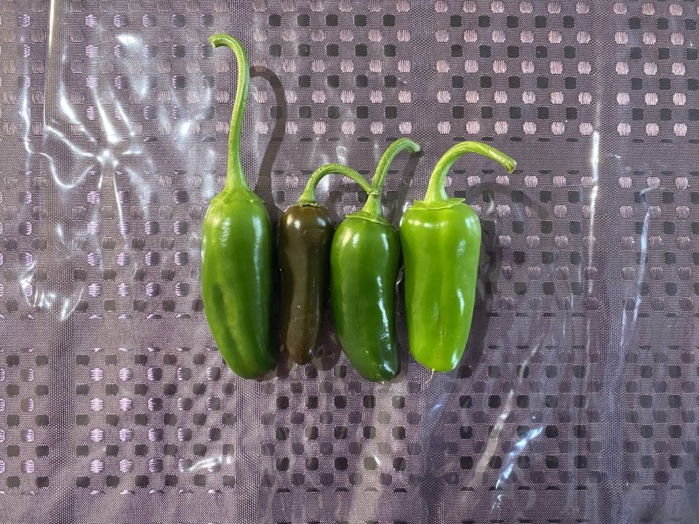 Jalapeno Brown