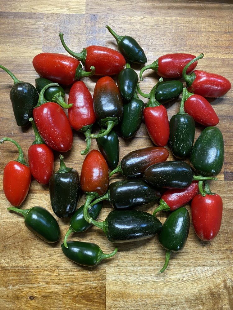 Jalapeno M