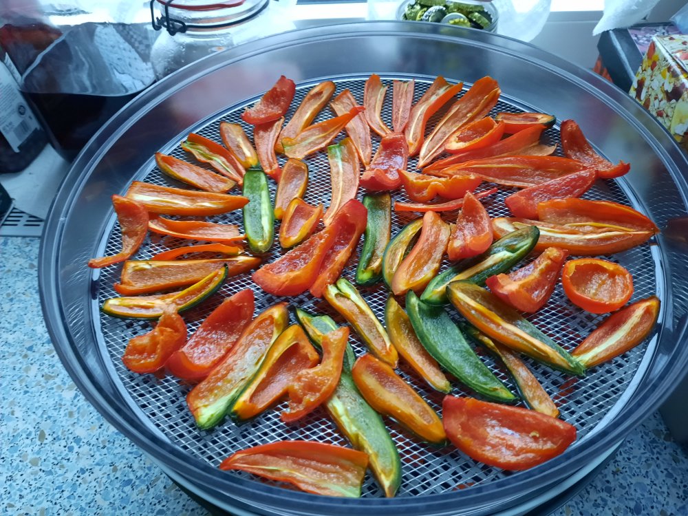 Jalapeno und paar andere Chilis