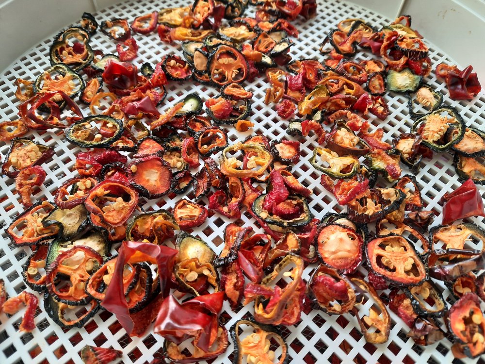 Jalapenoscheiben, geräuchert