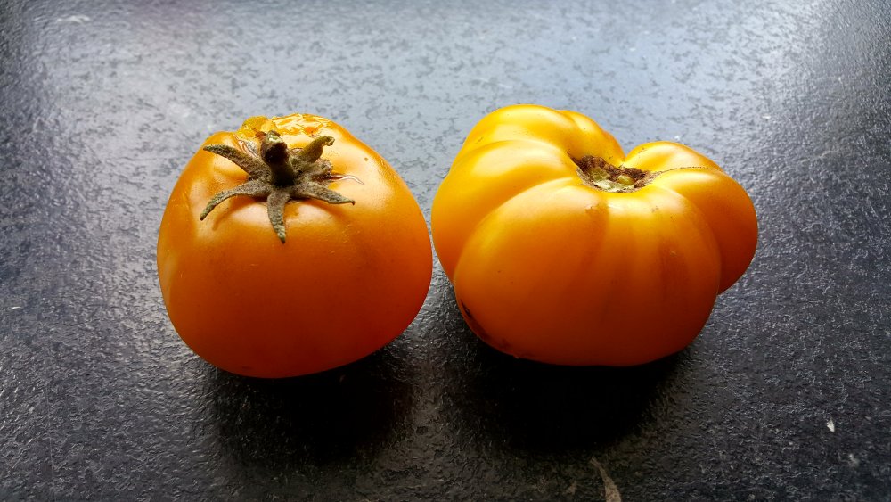 Keine Italienische Weinbergtomate