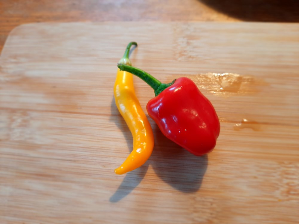 Kostproben 100722a.jpg