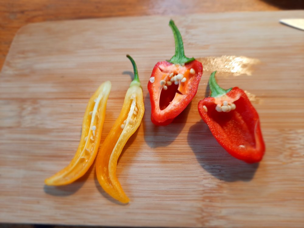 Kostproben 100722b.jpg