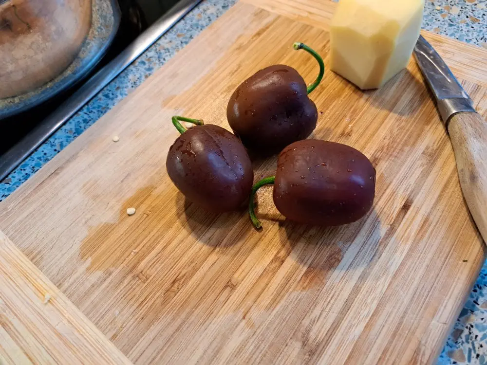 Lecker Rocoto.webp