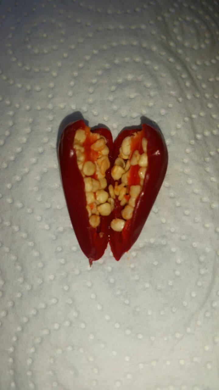 Meine Türkischen Chilis