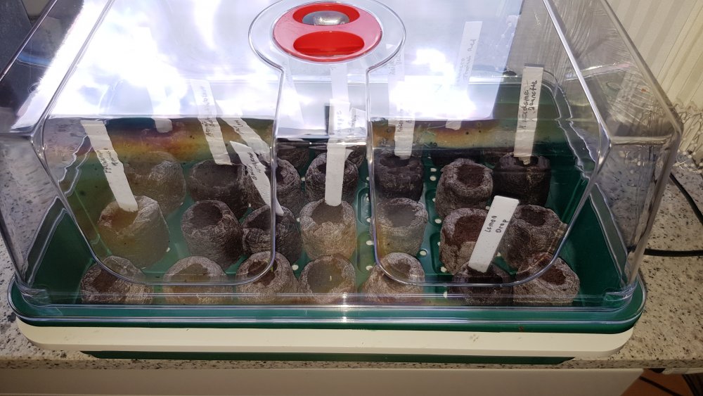 Neues Übergangsquartier