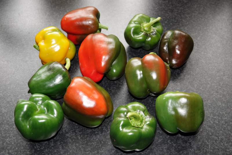 Paprika-14-10-21.JPG