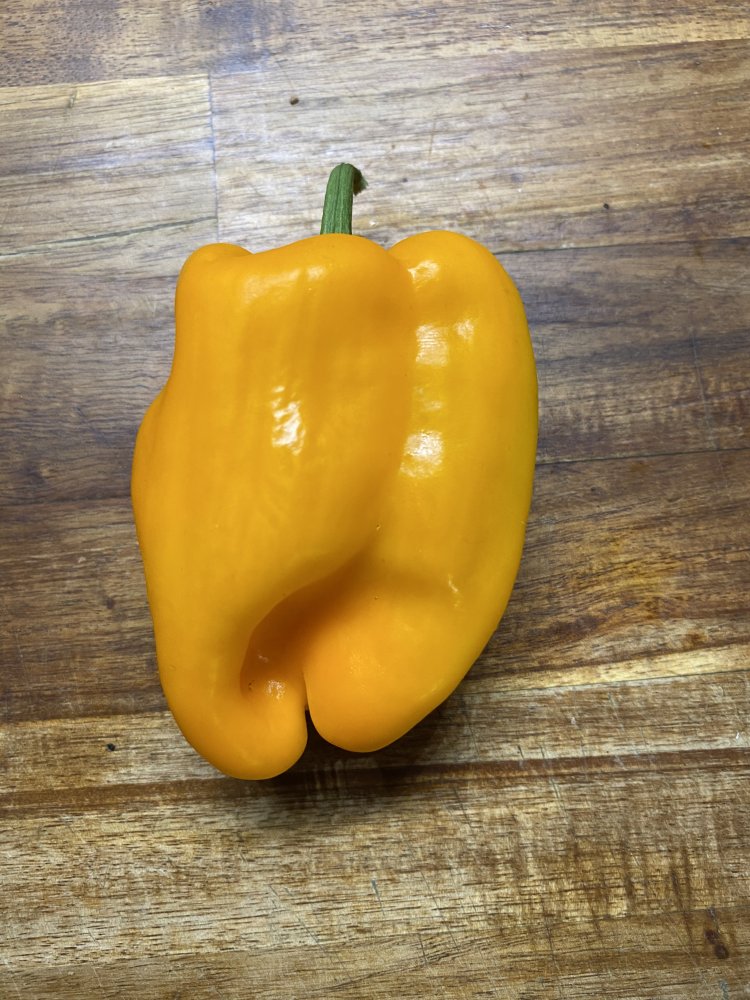 Paprika, 15 Tage im Gemüsefach Kühlschrank