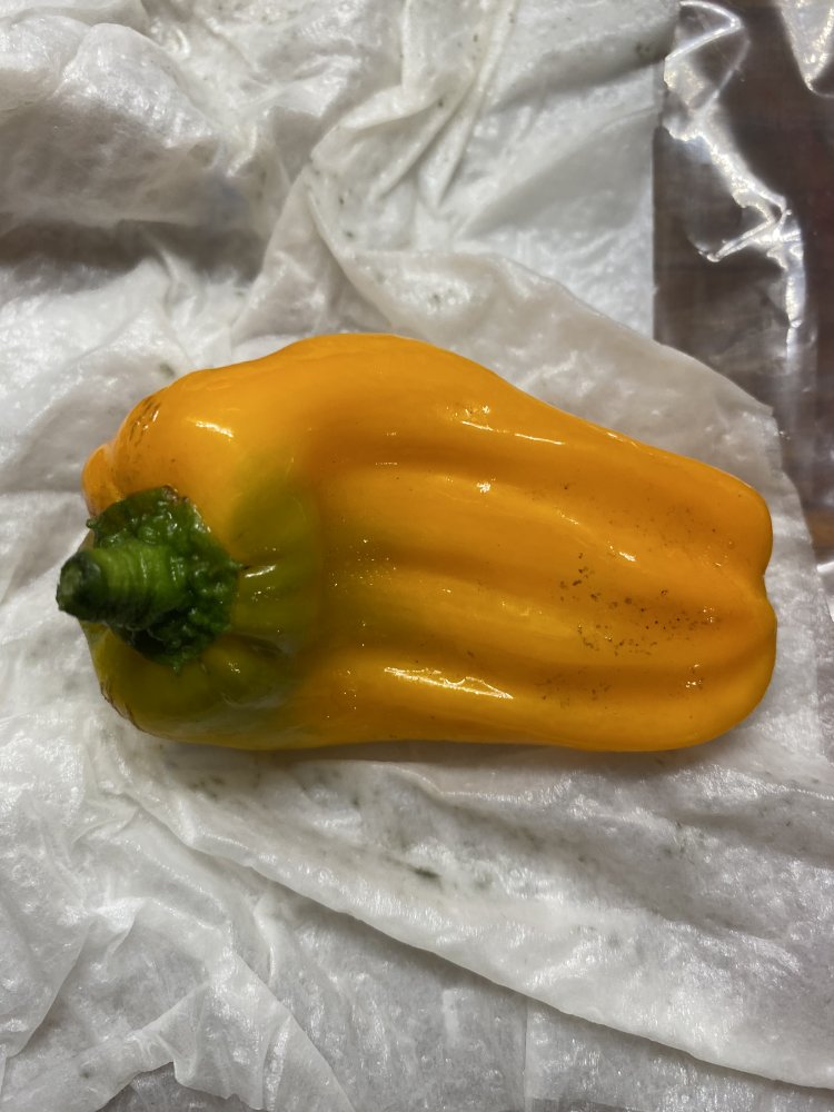 Paprika, 15 Tage im Gemüsefach Kühlschrank