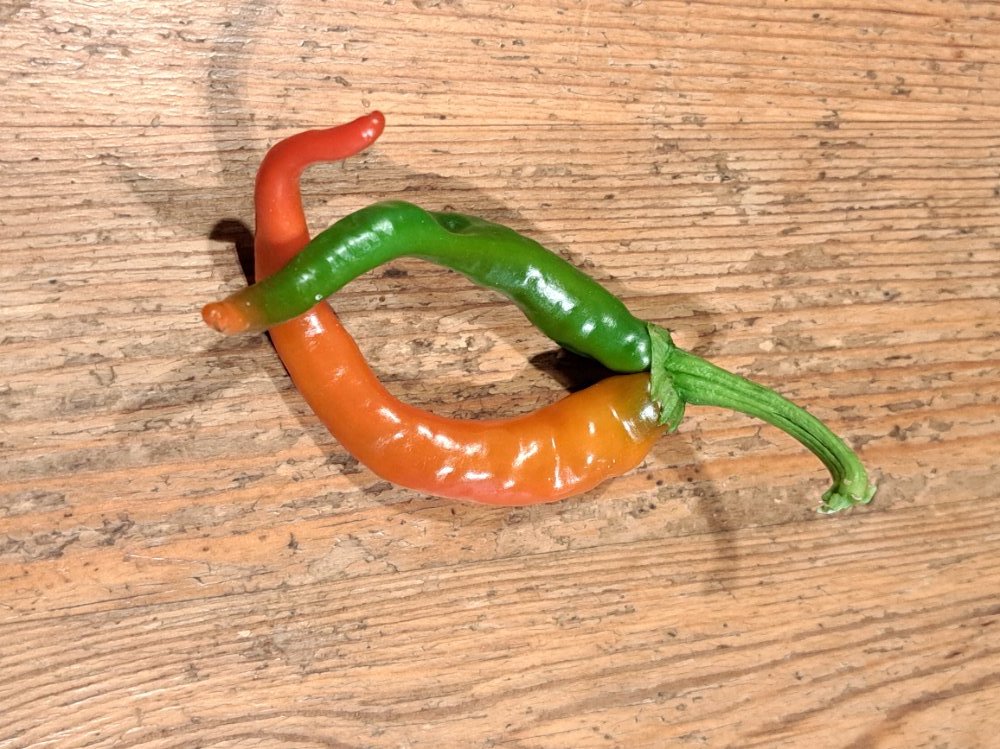 Peperoni Zwilling 031025 01.jpg
