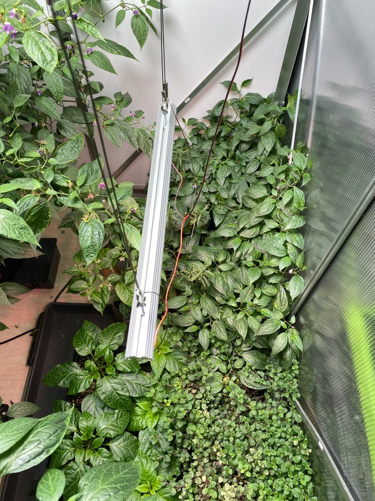 Pflanzenlampe LM301B 3500K + Far Red