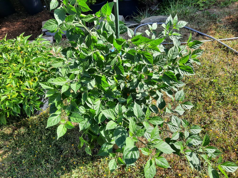 PI215734 080822 01.jpg