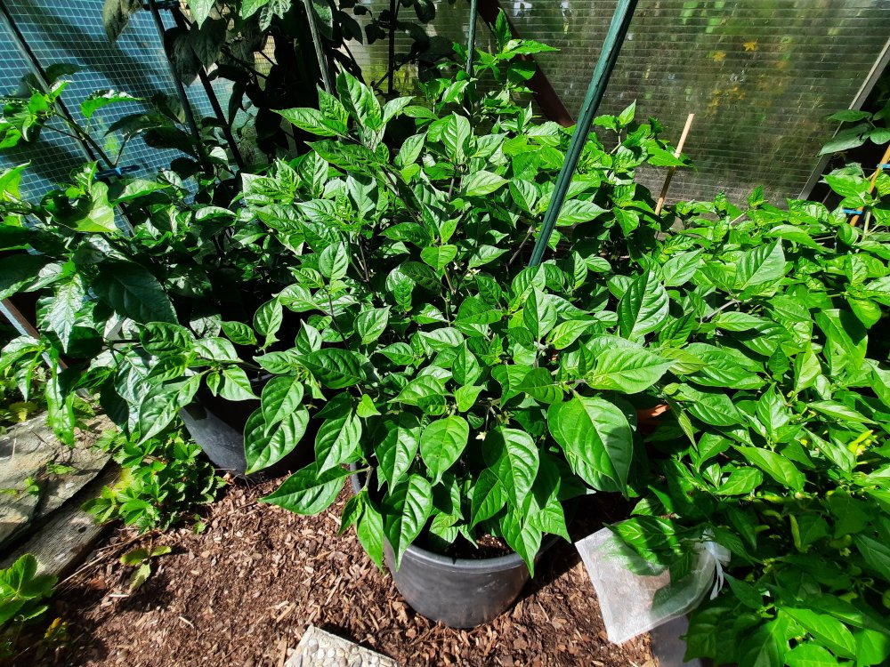 PI215734 110722a.jpg