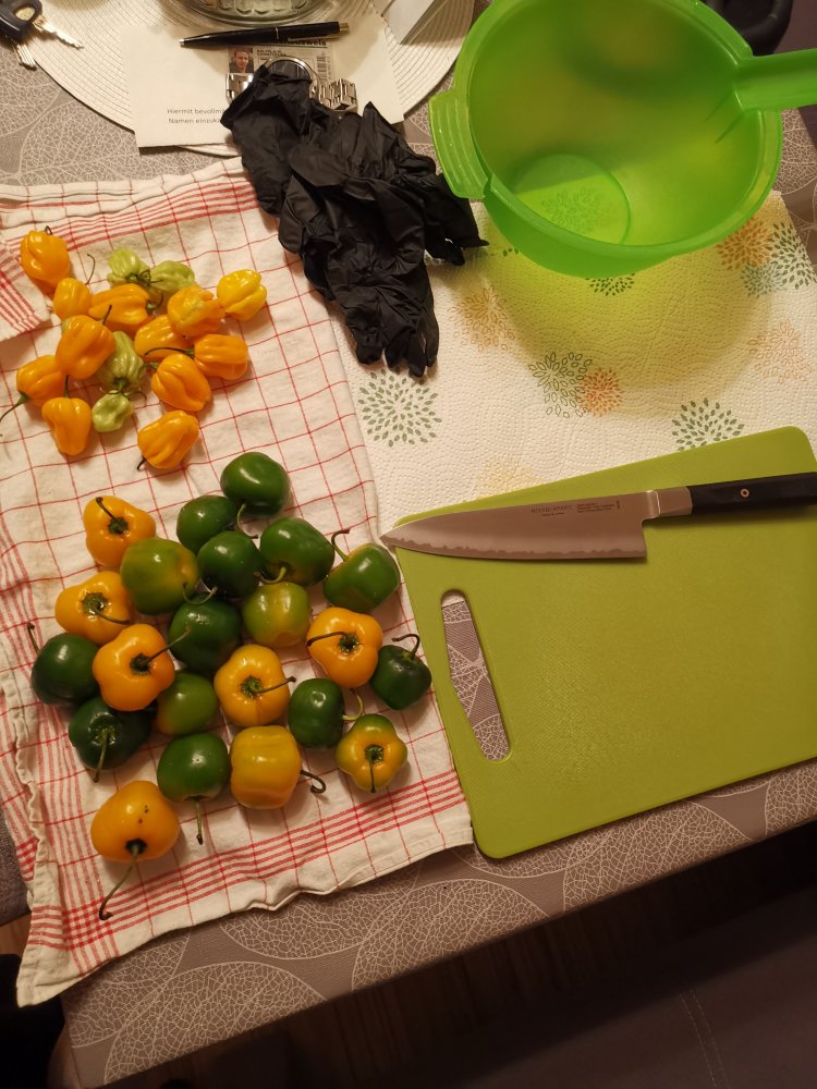 Pulverproduktiönchen