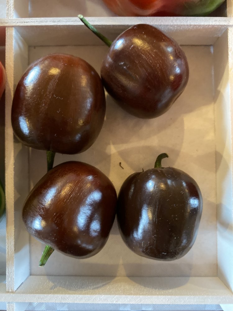Rocoto Brown