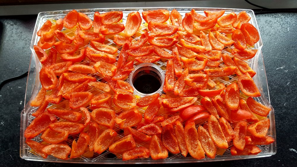Rocoto Manzano Rojo