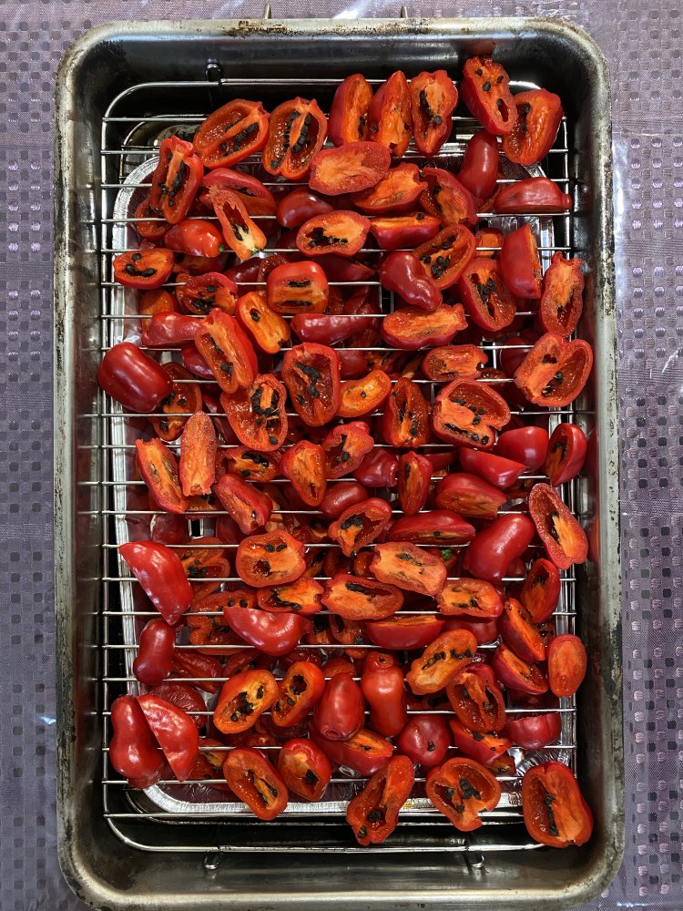 Rocotos räuchern