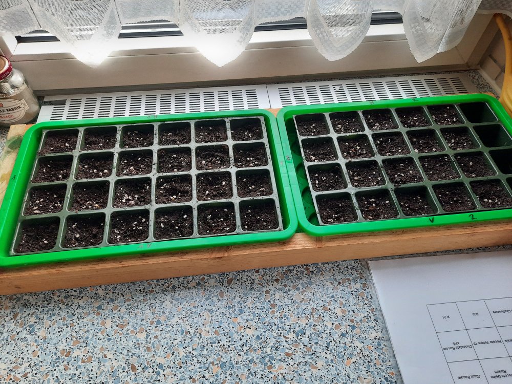 Saisonstart 01012022 02.jpg