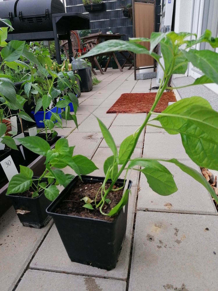 Salvador de Bahia Seite