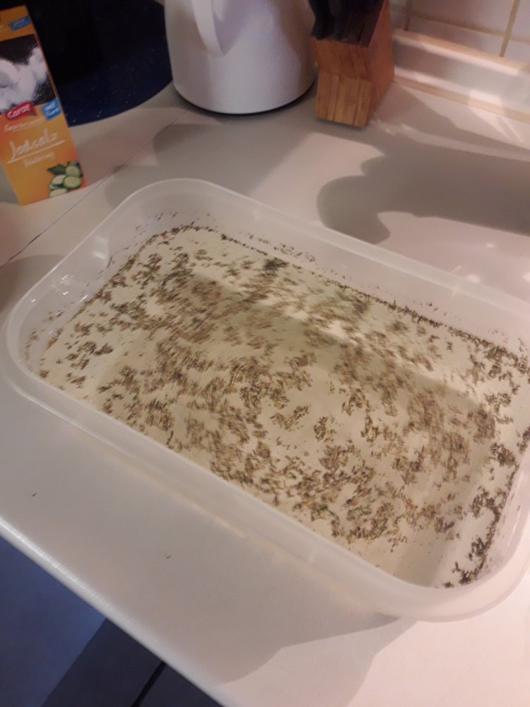 Salzlake mit Kräutern