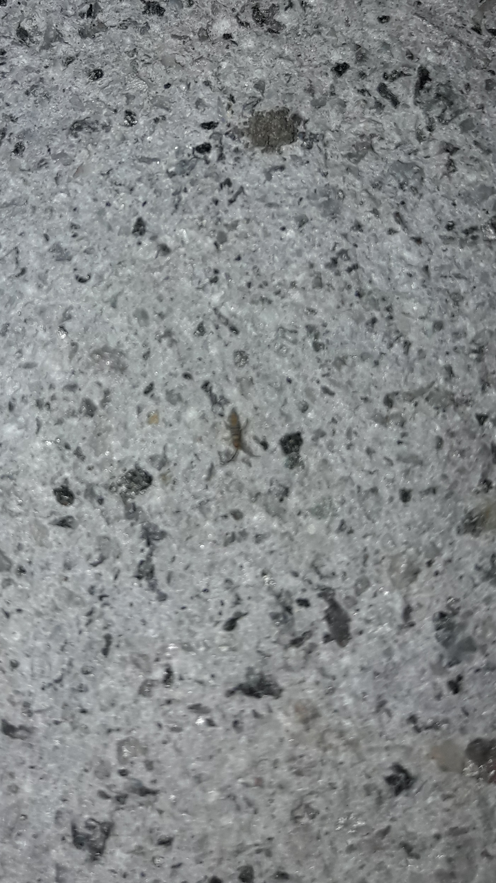 Screenshot_20170429-205851