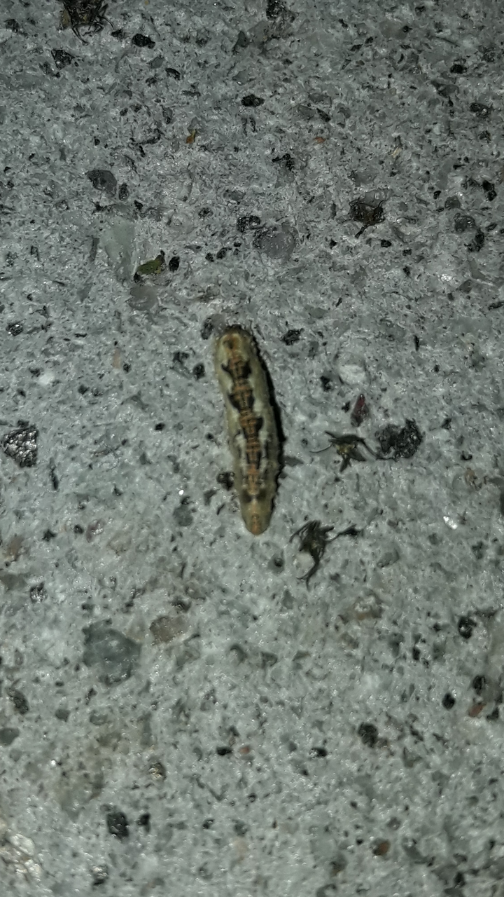 Screenshot_20170429-205909