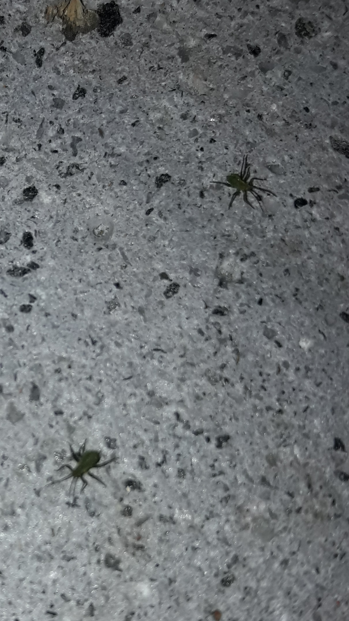 Screenshot_20170429-205920