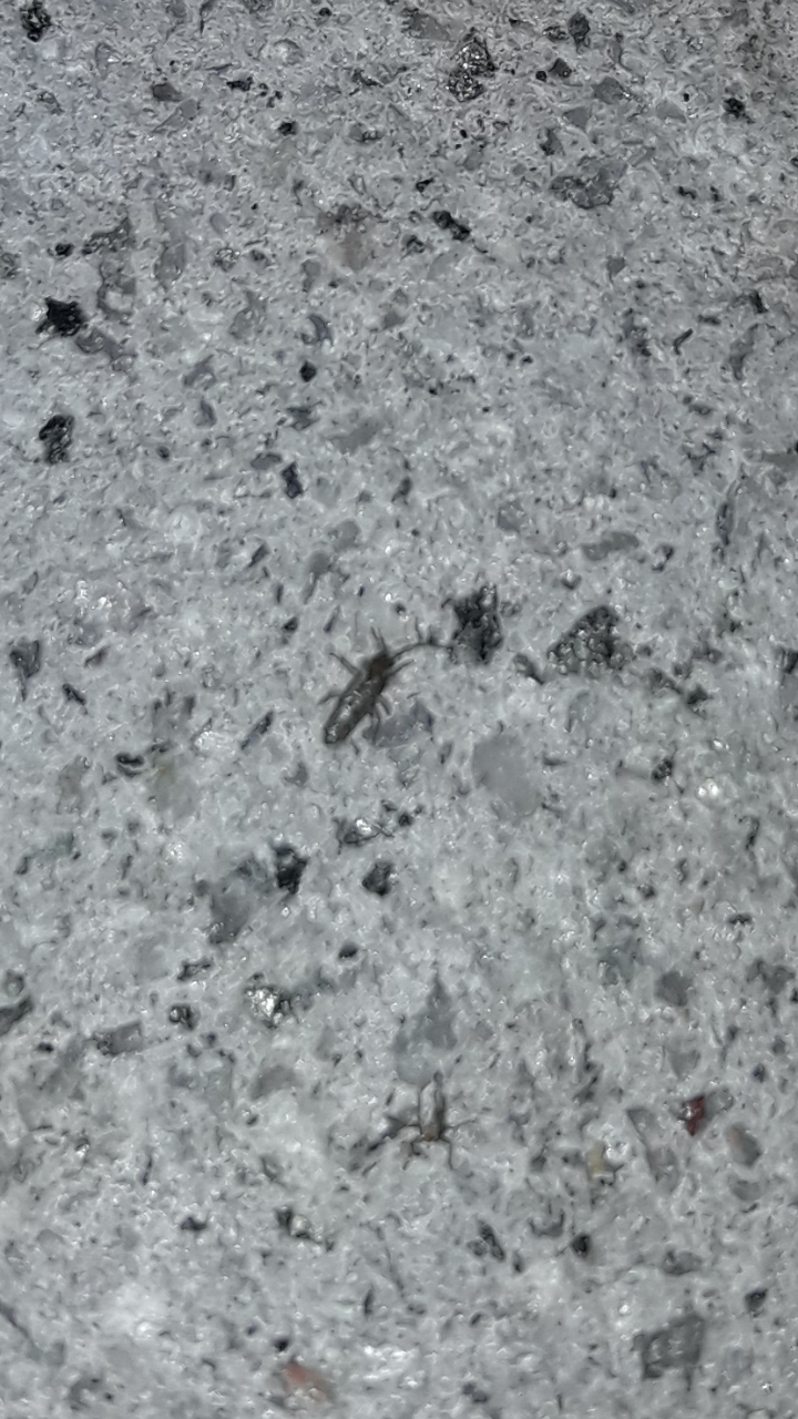 Screenshot_20170429-205928