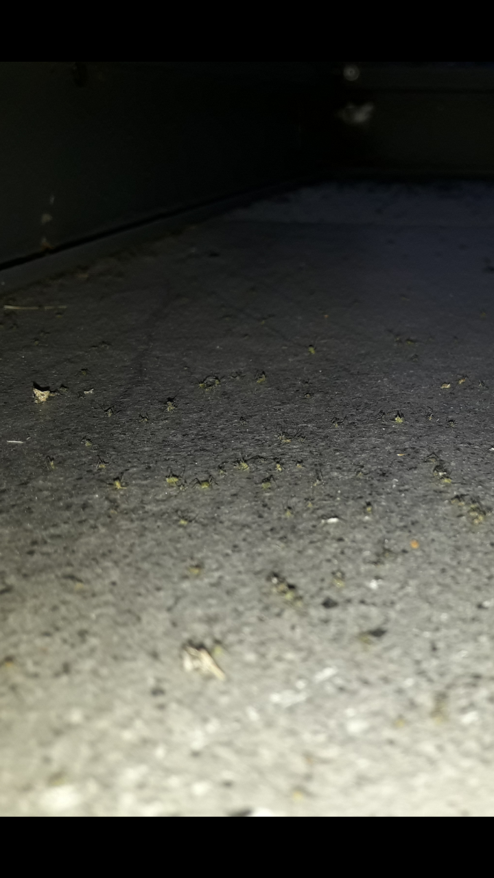 Screenshot_20170429-205943