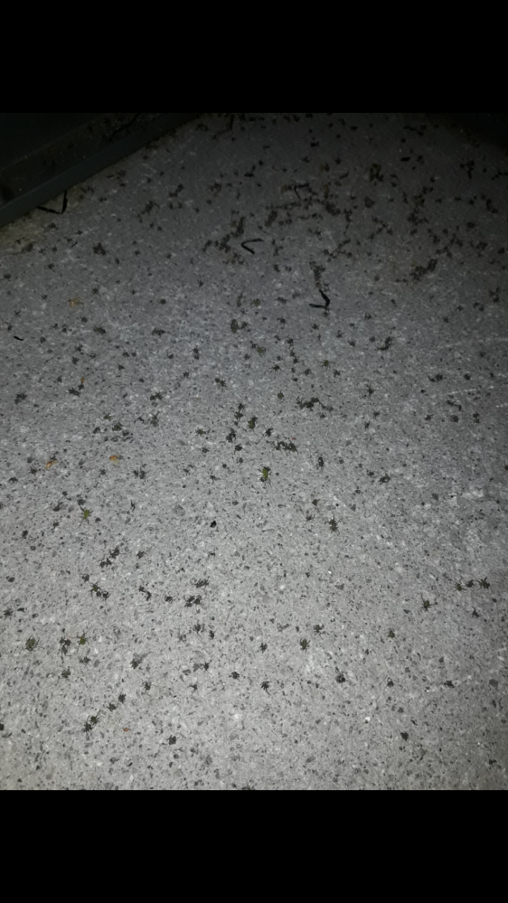 Screenshot_20170429-205948