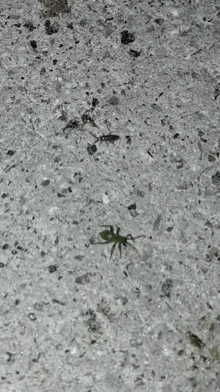 Screenshot_20170429-210147